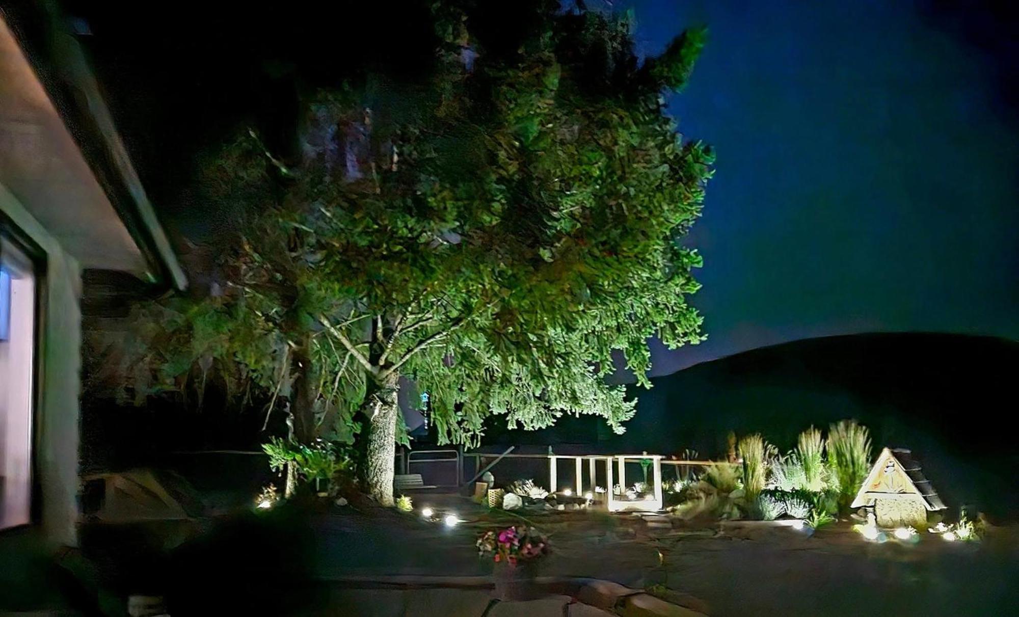 The Flats Cozy Guest house Salmon Arm