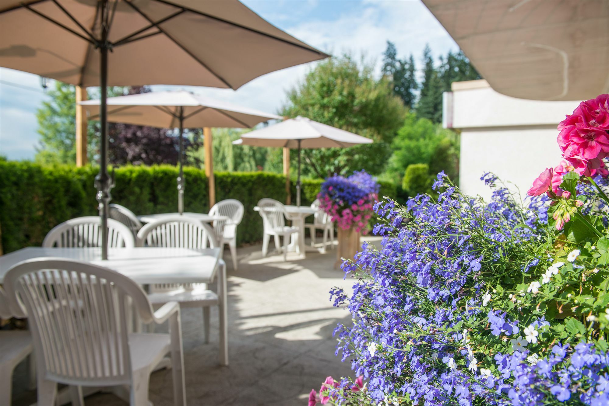 Hilltop - Hotel Salmon Arm