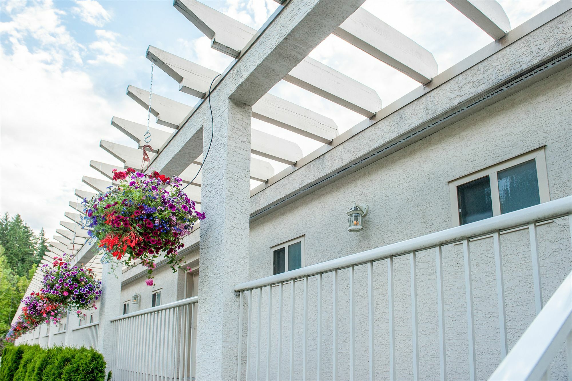 Hilltop - Hotel Salmon Arm